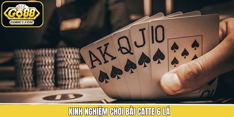 Kinh nghiệm tham gia bài catte thắng lớn tại Go88